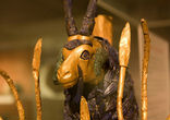 Image of Ram Caught in a Thicket