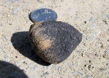 Image of A fragment of the Sutter's Mill meteorite. 