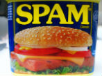 Image of Spam is one thing both terrorists and the NSA probably hate as much as you do. 
