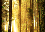 Image of Beautiful mornings are inspirational.