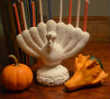 Image of A Menurkey. 