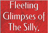Image of Download your copy of the free Kindle e-book 'Fleeting Glimpses of the Silly, Sentimental and Sublime' by Michael Seagriff O.P. on January 28th to January 30th.