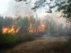 Image of Burned for profits: Workers are dying, but those who employ them seem not to care. 