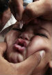Image of A child in India receives a dose of polio vaccine. The polio virus is nearly eradicated around the world. 