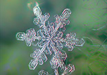 Image of Snowflakes are one of God's miracles. Each snowflake is uniquely shaped with infinite possibilities. 