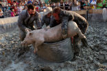 Image of It is very likely this is a distressing event for the animal and while it may have been viewed favorably in the past, such activities are increasingly frowned upon today. The lack of statement from the parish is disconcerting. (Image via Jordan Turner.)