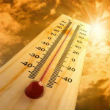 Image of The planet continues to warm with the past 30 years now the hottest in modern history. 