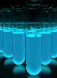 Image of In the future, according to one dire prediction, babies will come from test tubes and sex will be purely for recreation. 