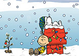 Image of What keeps A Charlie Brown Christmas on the air year after year is because it speaks to the truth we all know in our hearts: the true meaning of Christmas!