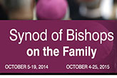 Image of Pope Francis understands the critical importance of the traditional nuclear family in God's plan for human society in general and for the Church in particular. 