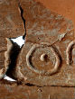 Image of The inscription is read as Eshba'al Ben Bada.