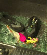 Image of 