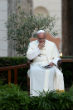 Image of Pope Francis has declared a world day of prayer for Creation, asking all Catholics to pray and act for the environment and the poor.