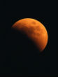 Image of Lunar eclipse and blood moon from 2011 ( David Paleino).