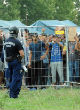 Image of Migrants work together to distribute food local authorities toss into a crowd.
