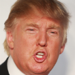 Image of This head is worth a cool $100 million, a fact which can only make it bigger.