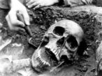 Image of Scientists studying plague victims have discovered the disease is much older than previously believed. 