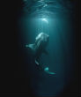 Image of The Mariana Trench, off Guam in the South Pacific is the deepest place in the ocean.