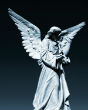 Image of Miraculous film footage may have captured angels in flight over Austria. 