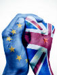 Image of 51.9 percent of voters would rather see Britain leave the European Union (YouTube).