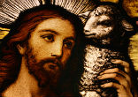 Image of 