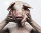 Image of Should experiments that cross humans and animals be allowed?