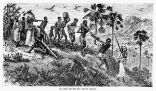 Image of An image from 1865 shows Africans being taken into slavery. One victim is being put to death arbitrarily, or for some unknown offense. 