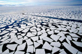 Image of Will the cure worse than the disease? The polar caps melt, then grow back. But there's a greater danger than this lurking among us --our response to the problem. 