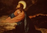Image of The number 40 is an important theme in the Bible.