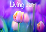 Image of 