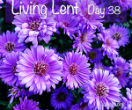 Image of