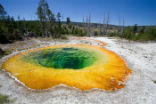 Image of The magma plume that feeds the supervolcano under Yellowstone is also responsible for the park's incredible beauty.
