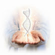 Image of The fountain of youth is within the grasp of science, but so far, only for mice. Human trials come next year.
