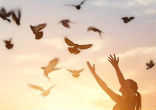 Image of Everything we have comes from God. 