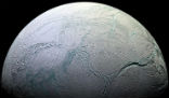 Image of Could Enceladus host life? The discovery of complex organic molecules hints at the possibility. 
