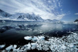 Image of Scientists warn that ice melt is accelerating. 