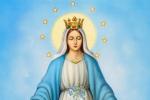 Image of 