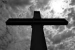 Image of 