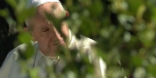 Image of Pope Francis has suggested the addition of ecological sins to the catechism. 