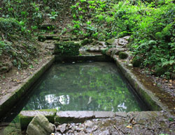 Image of St. Dyfnog Image of St. Dyfnog